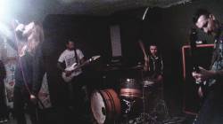 Wide Shut : Wide Shut